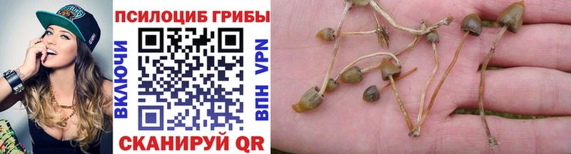 Галлюциногенные грибы мицелий  Пенза 